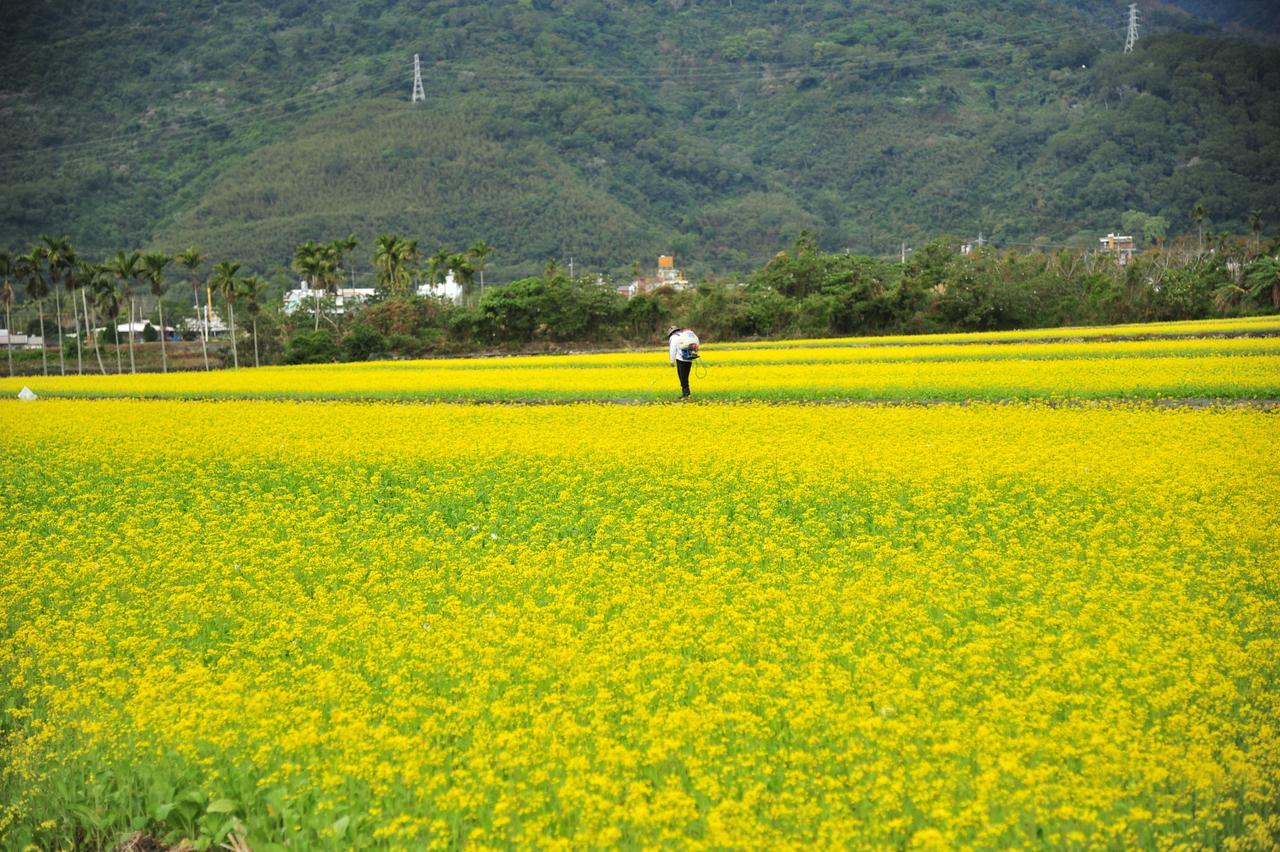Guanshan Fukuda Homestay Esterno foto